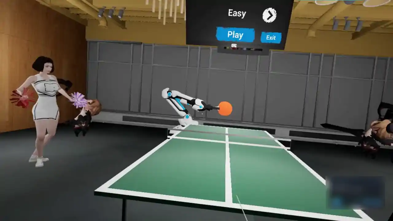 VR PingPong Sweetie